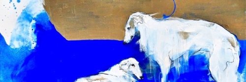 ShealeighDaily's profile banner image