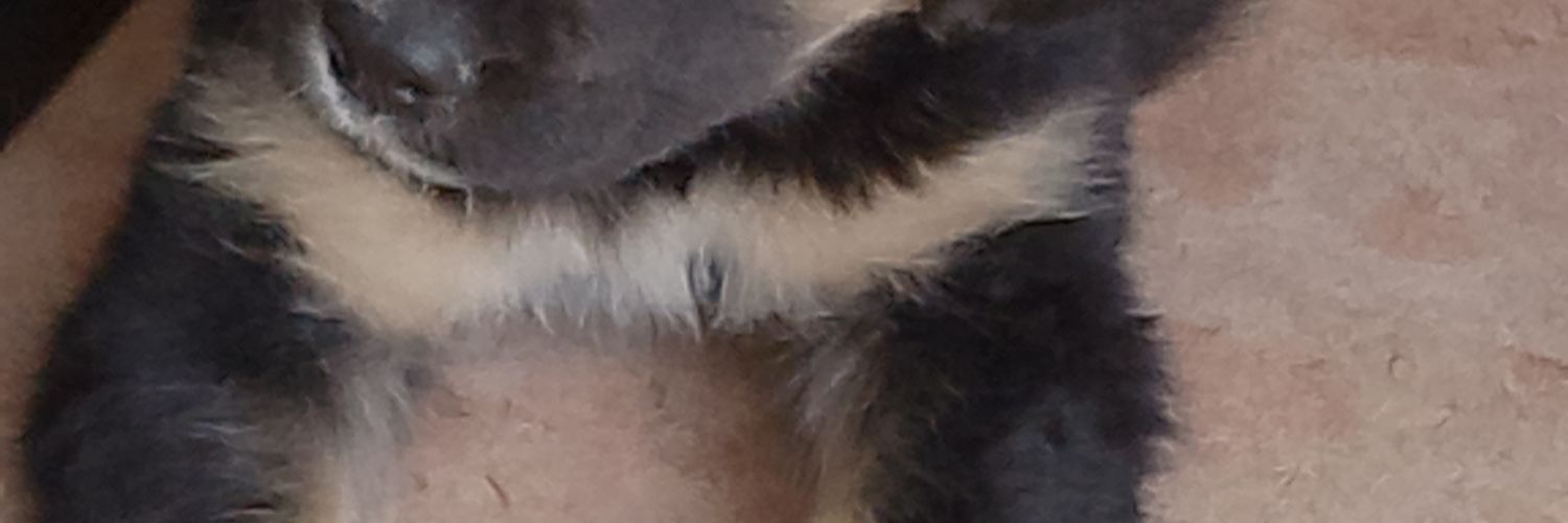 @cejulito1 del 56 %💛 🇦🇷🇺🇦🇮🇱 banner