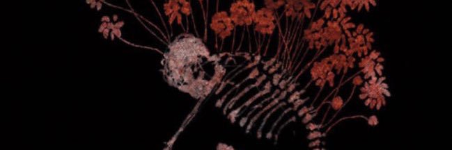 madjar banner