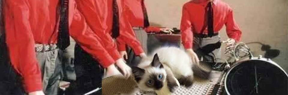 Andrew Summers banner