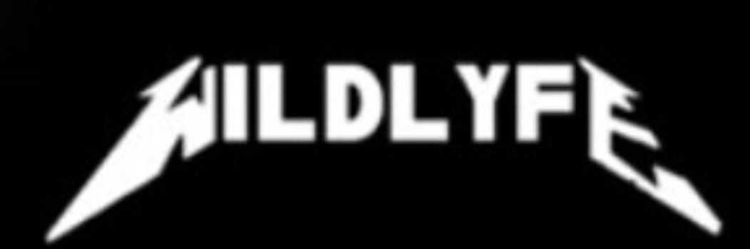 wildlyfeinc's profile banner image