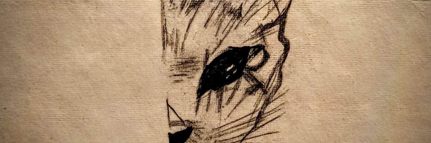 katyvegav's profile banner image