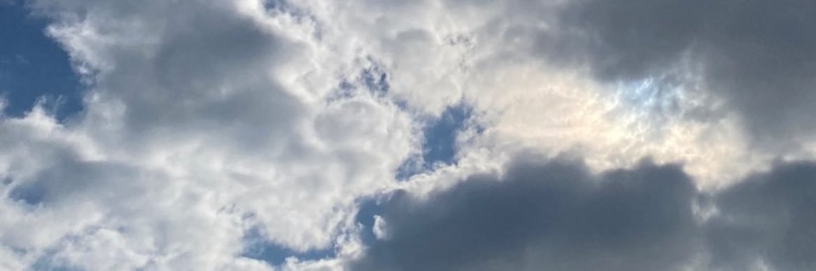 aicha polemica banner