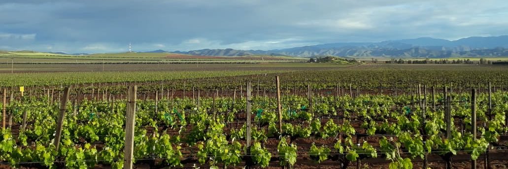 Juan Pablo Curis M banner