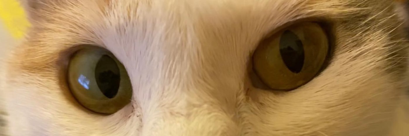 fthzkn61's profile banner image