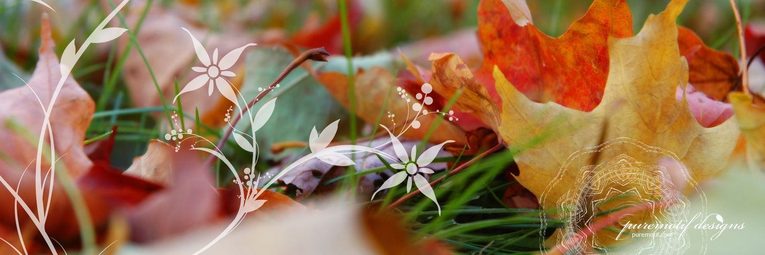 deepan_chakra's profile banner image
