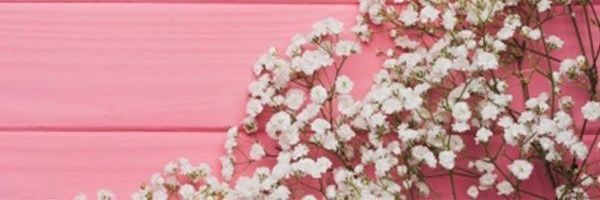 Angeliki banner