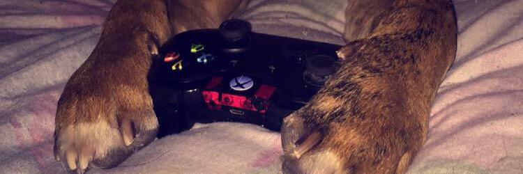 alyateem00's profile banner image