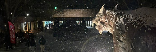 BelkReport Profile Banner