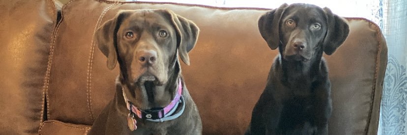 ChelsRiggs's profile banner image
