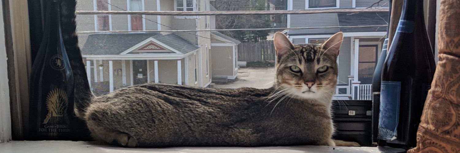 HannahWorst's profile banner image
