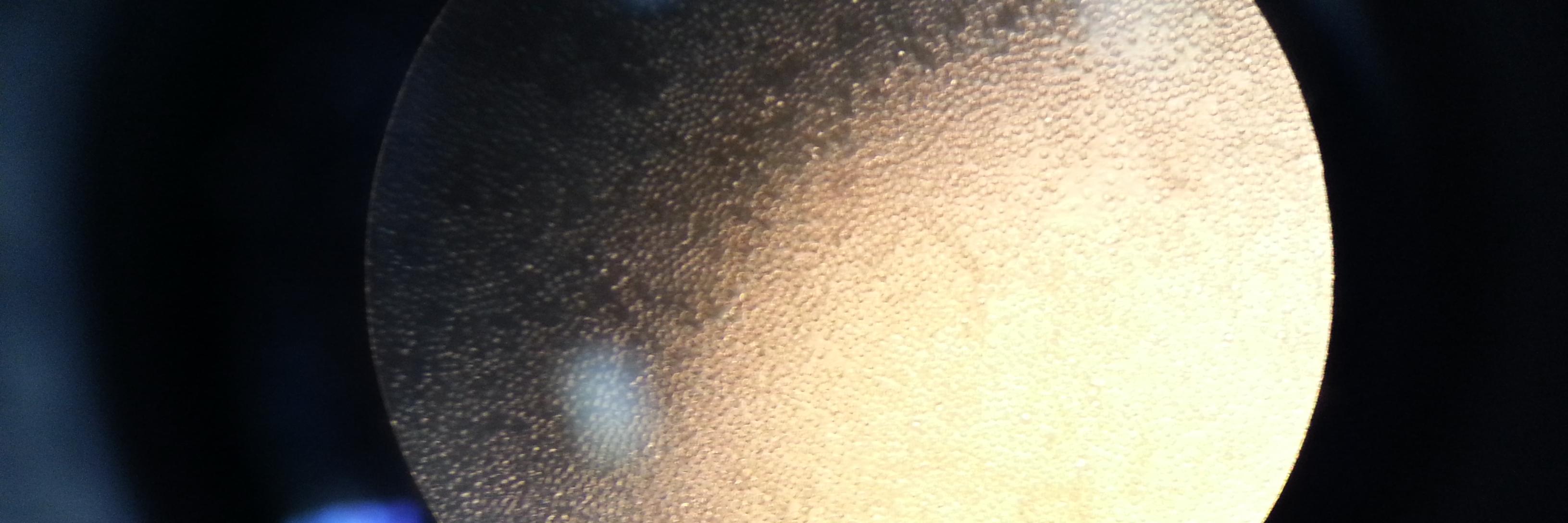 Miss_GPie's profile banner image