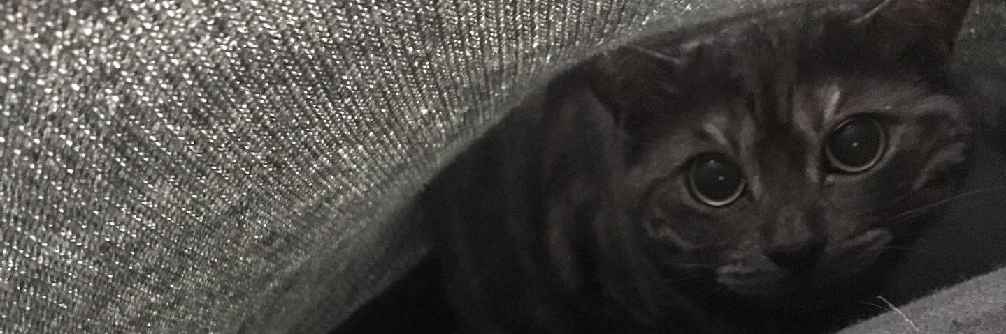 ペ子 banner