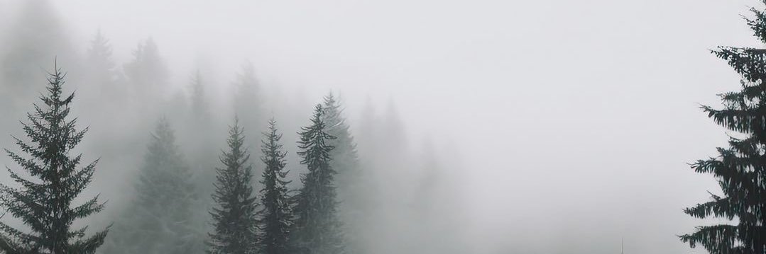 mishellblarasin's profile banner image