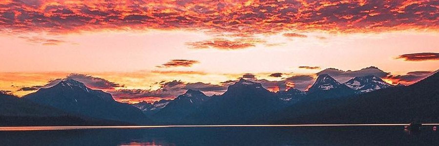 SofiaaBorges's profile banner image