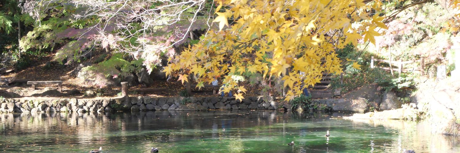 shinonegi14102's profile banner image