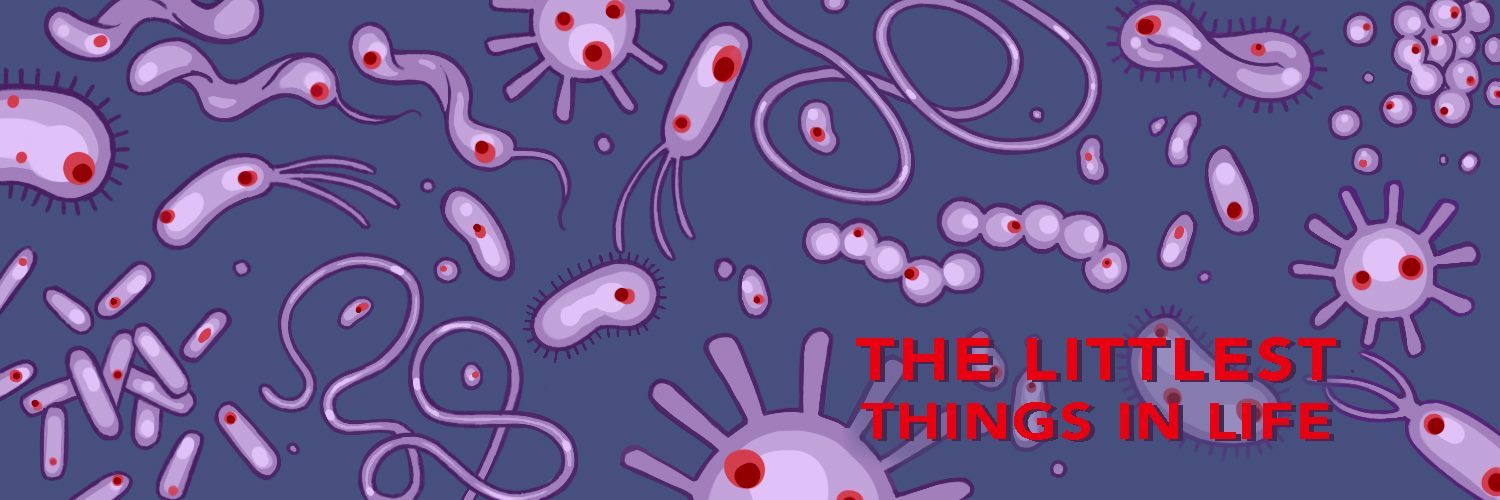 TheLittlestPod's profile banner image