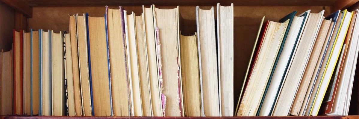 Roma Dhamanaskar banner