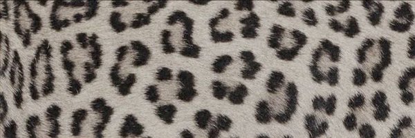 kkyulcoffee Profile Banner