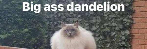 Vaxi200 Profile Banner