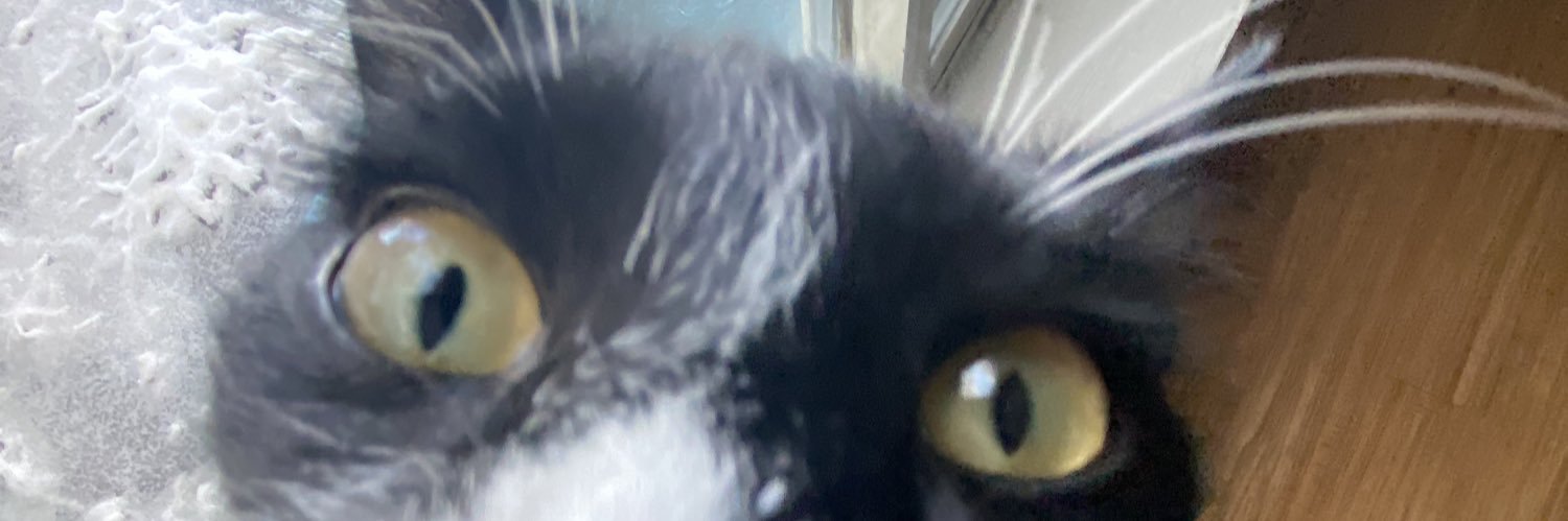 AggravatedPanda's profile banner image