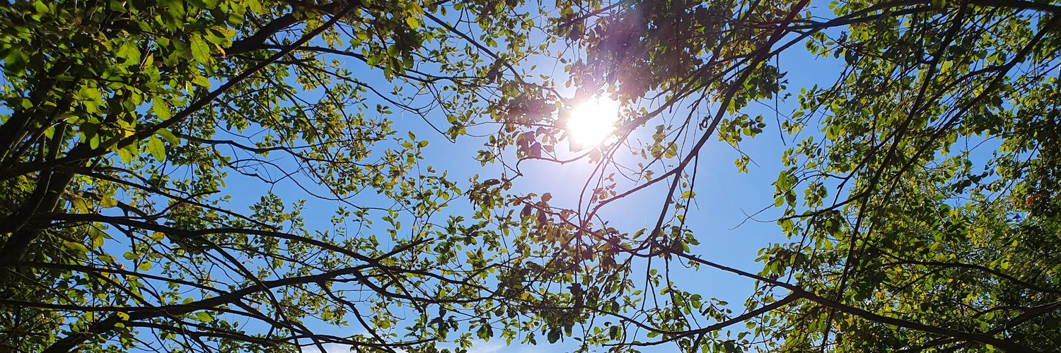 TheExplorer🗽🇩🇪🇪🇺🇺🇸🇺🇦🇮🇱❤️ NATO ❤️ 🫡 banner