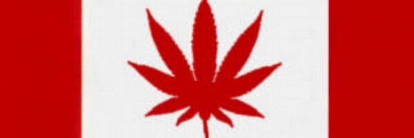 turdeau Profile Banner