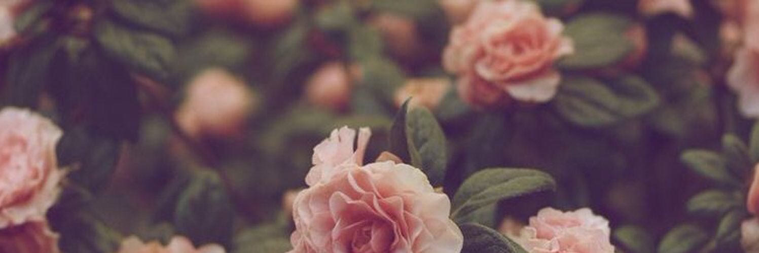 carlyshort_'s profile banner image