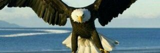 SevHungwe's profile banner image