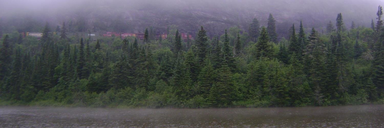 cathyremus's profile banner image