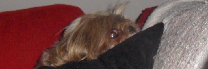 Gabuap's profile banner image