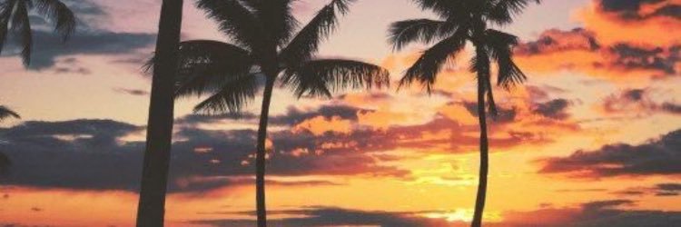 _mayracampos_'s profile banner image