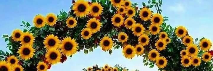 🌹 Kat1988 ♥ banner