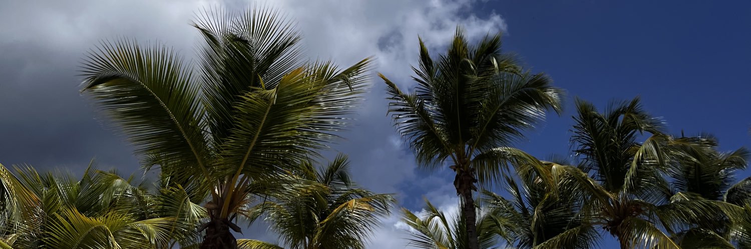 FreeXCrypt (punch/acc) banner