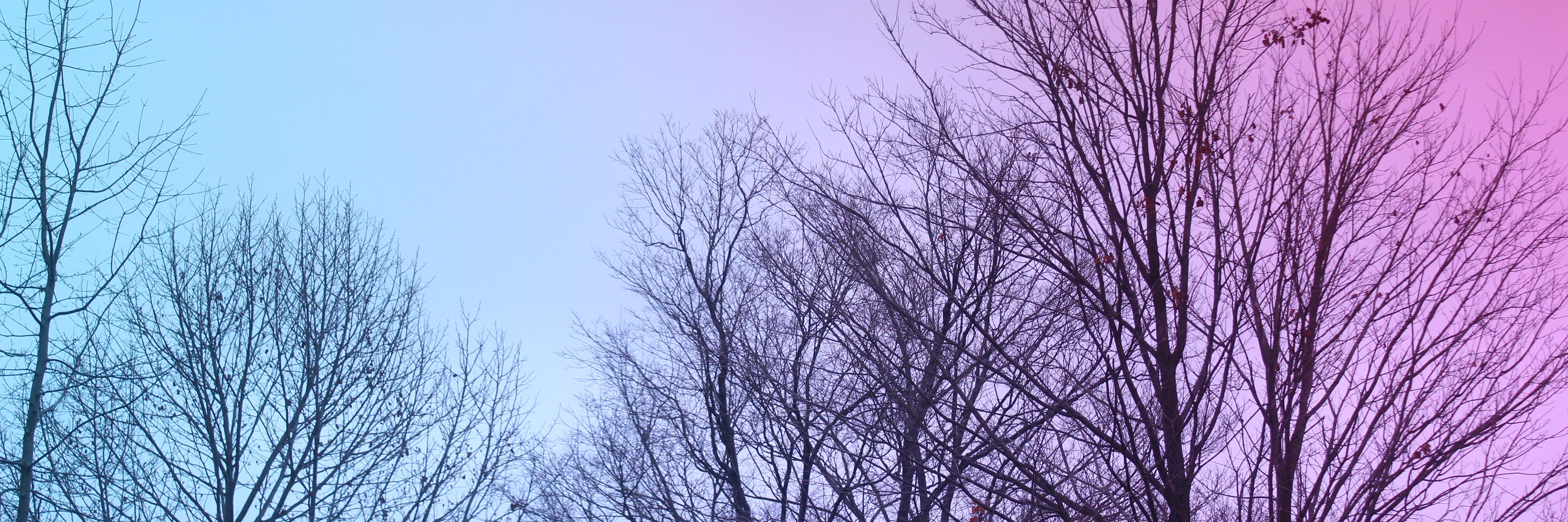 PuzzleFrog's profile banner image