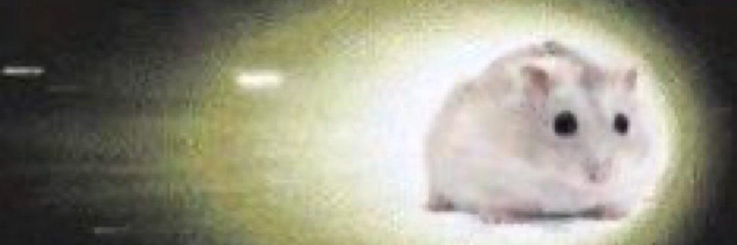 i07pa's profile banner image
