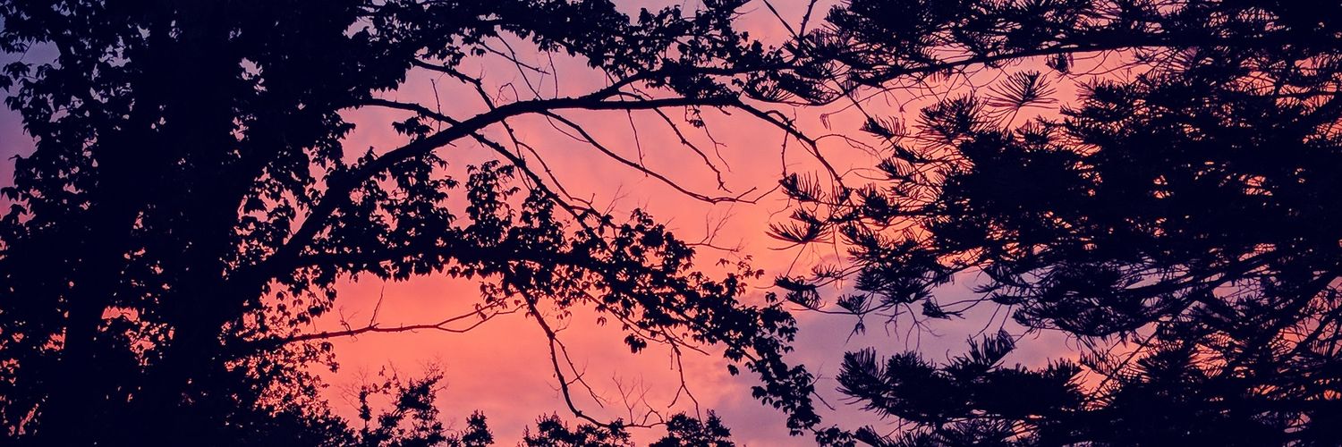 TheNerdyDeviant's profile banner image