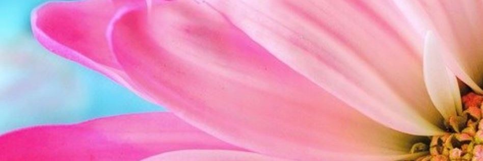 1RadChick banner
