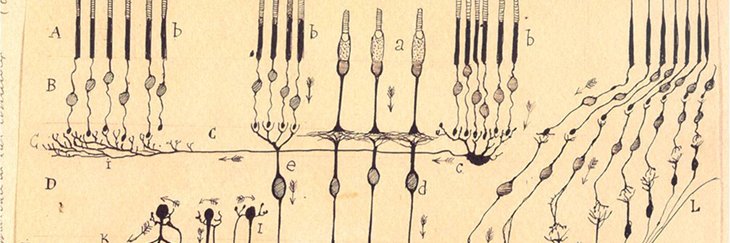 Philippe Valmaggia banner