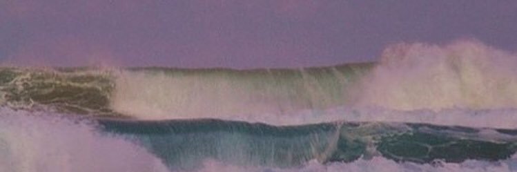 musingsbot's profile banner image