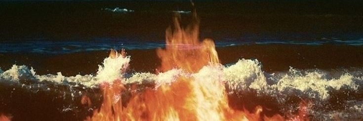 mischa🪼's banner