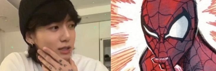 koala power liv banner