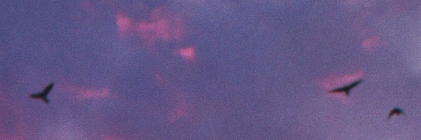 Cyprrs's profile banner image
