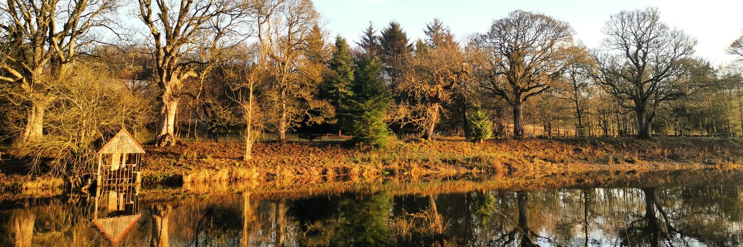 Jen Gabrielli banner