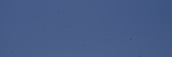 keep_journal Profile Banner