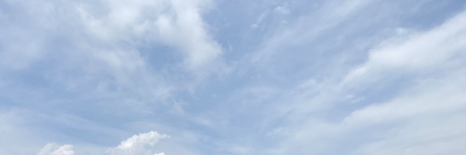 s banner