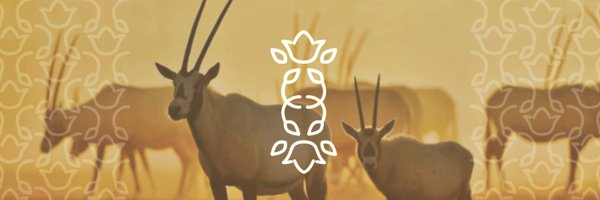 ITBA_SA Profile Banner