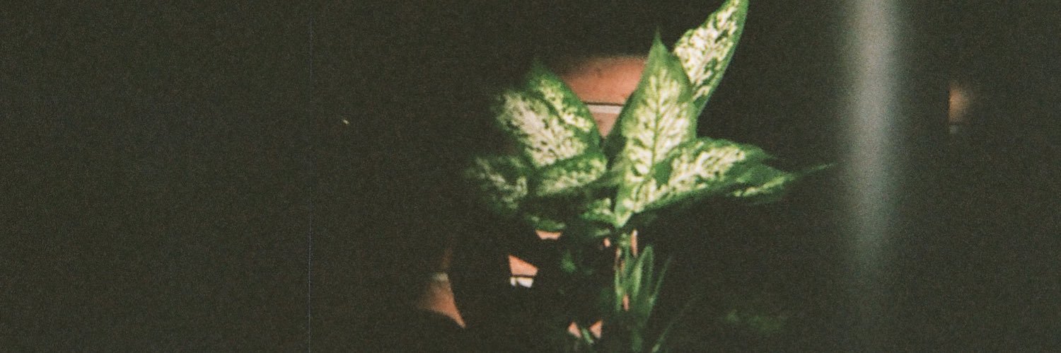 bunslippers's profile banner image