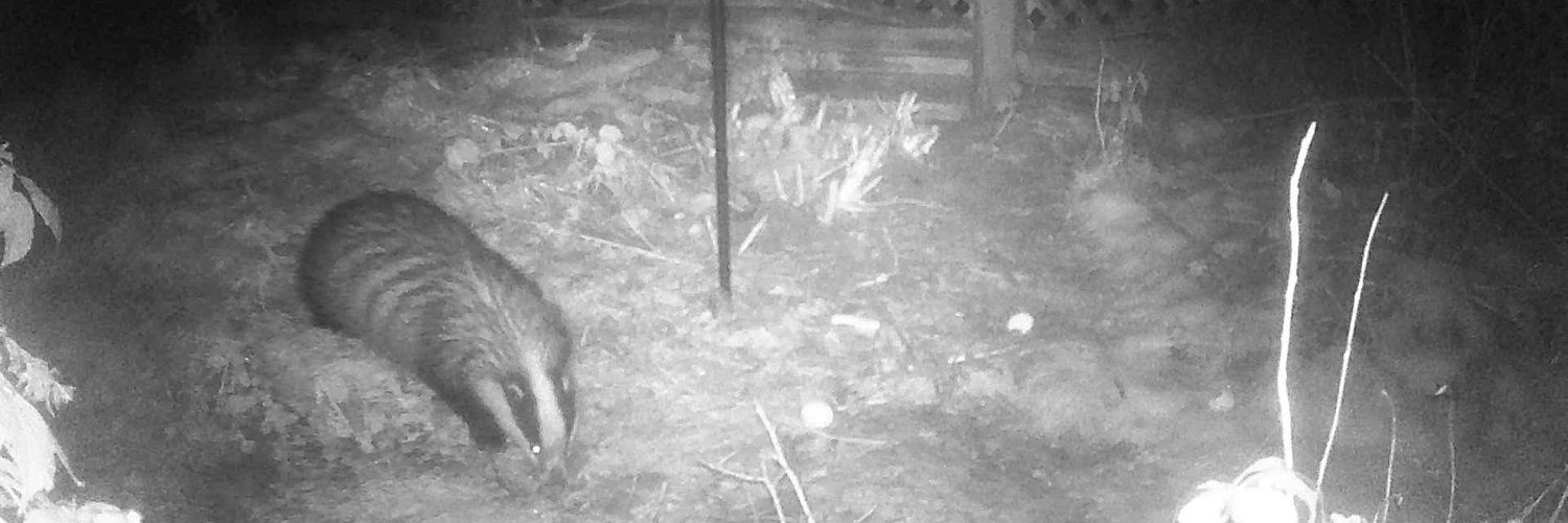 Manchester Wildlife Camera banner