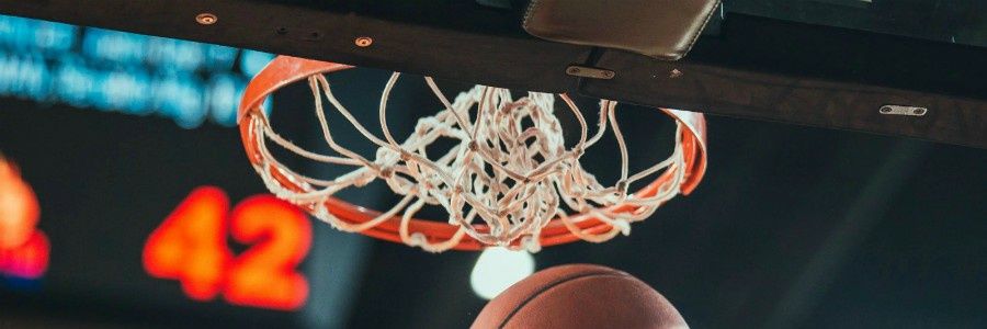 Xuncas Diversia banner